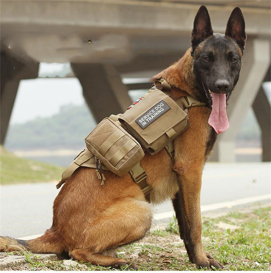 Tactical Molle Dog Harness