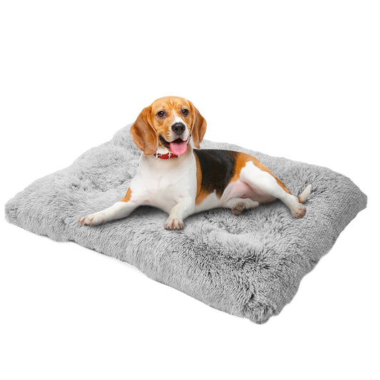 Washable Plush Bed