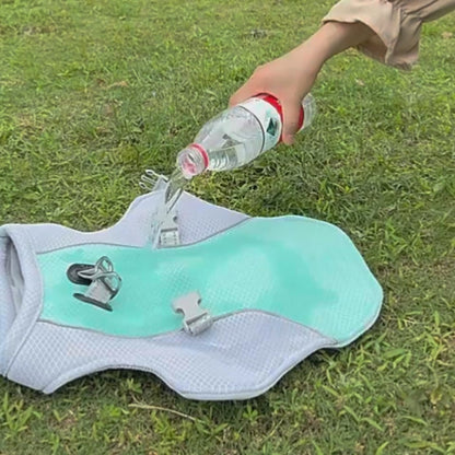 Dog Summer Walk & Cool-Down Bundle – Cooling Mat, Cooling Harness & Retractable Leash
